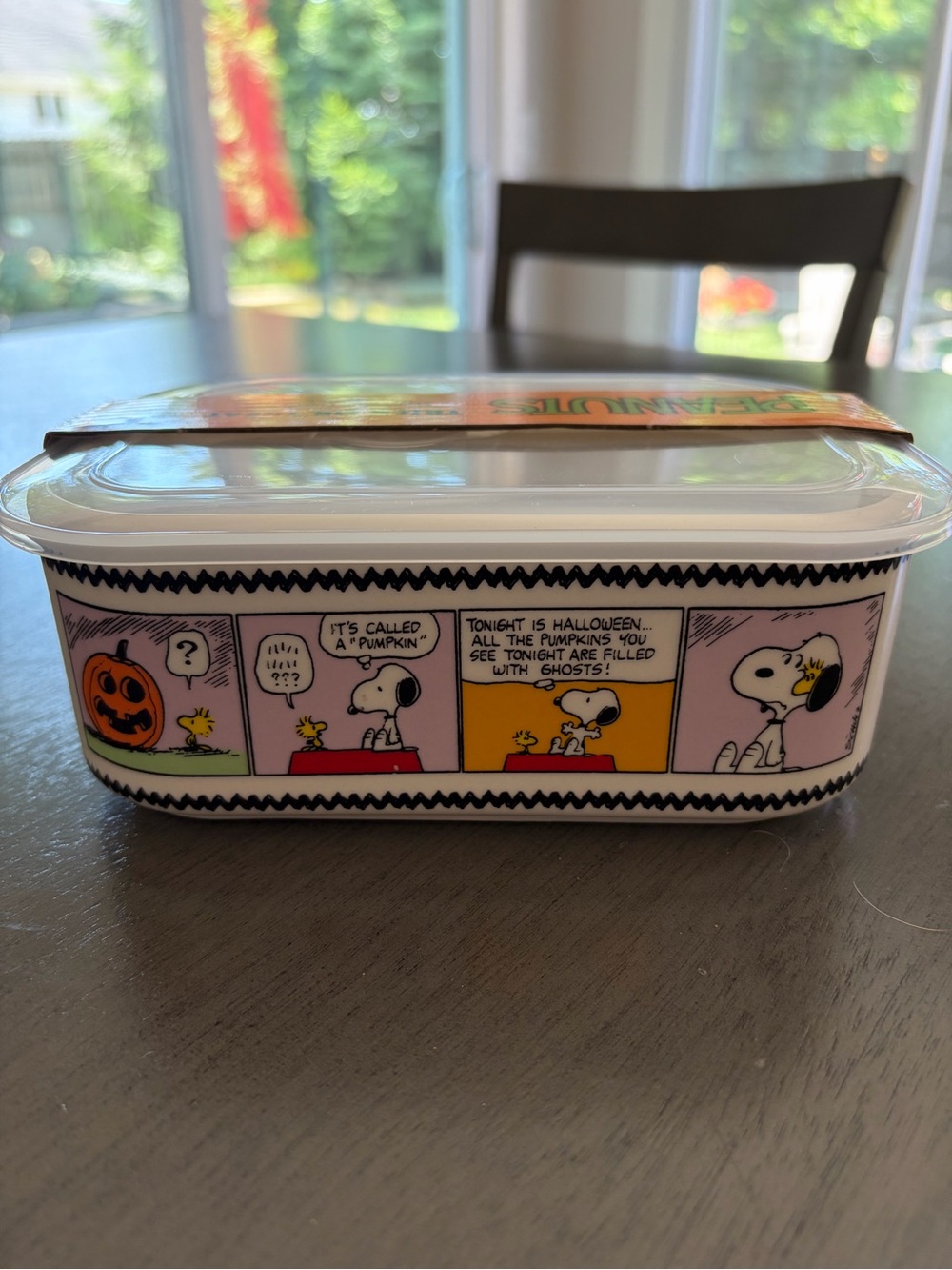 Peanuts Snoopy Halloween Comic Ceramic Food Storage NWT
